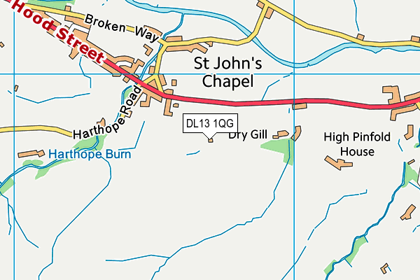 DL13 1QG map - OS VectorMap District (Ordnance Survey) DL13 1QG map - OS VectorMap District (Ordnance Survey)