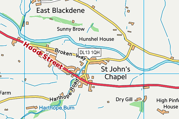 DL13 1QH map - OS VectorMap District (Ordnance Survey) DL13 1QH map - OS VectorMap District (Ordnance Survey)