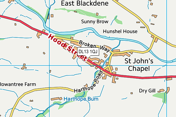 DL13 1QJ map - OS VectorMap District (Ordnance Survey) DL13 1QJ map - OS VectorMap District (Ordnance Survey)