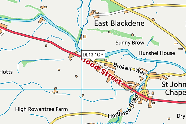 DL13 1QP map - OS VectorMap District (Ordnance Survey)