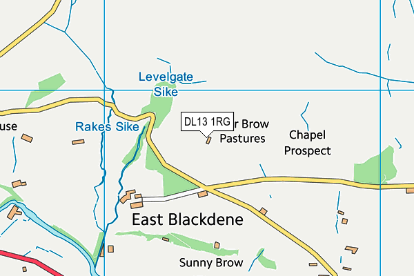DL13 1RG map - OS VectorMap District (Ordnance Survey) DL13 1RG map - OS VectorMap District (Ordnance Survey)
