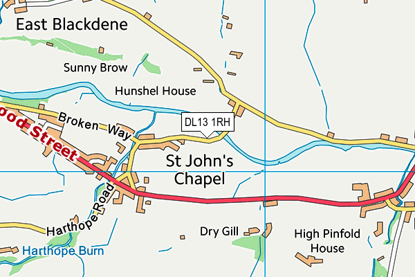 DL13 1RH map - OS VectorMap District (Ordnance Survey) DL13 1RH map - OS VectorMap District (Ordnance Survey)