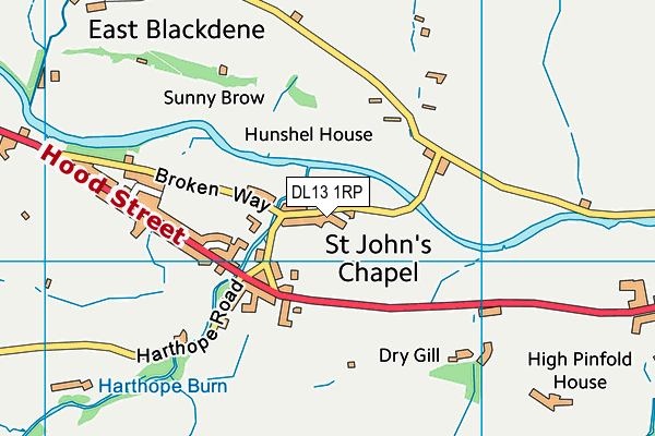 DL13 1RP map - OS VectorMap District (Ordnance Survey) DL13 1RP map - OS VectorMap District (Ordnance Survey)