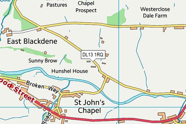 DL13 1RQ map - OS VectorMap District (Ordnance Survey) DL13 1RQ map - OS VectorMap District (Ordnance Survey)