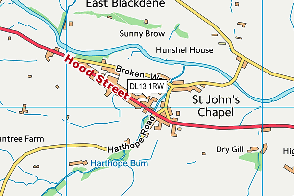 DL13 1RW map - OS VectorMap District (Ordnance Survey)