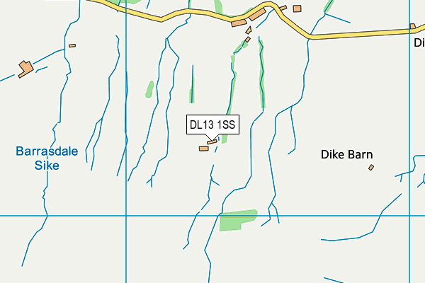 DL13 1SS map - OS VectorMap District (Ordnance Survey) DL13 1SS map - OS VectorMap District (Ordnance Survey)