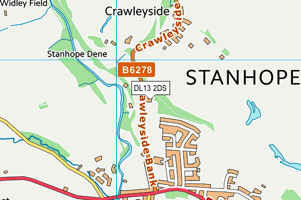 DL13 2DS map - OS VectorMap District (Ordnance Survey) DL13 2DS map - OS VectorMap District (Ordnance Survey)