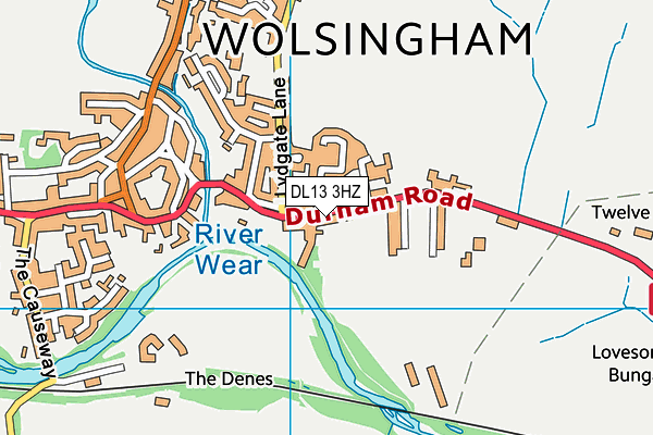 DL13 3HZ map - OS VectorMap District (Ordnance Survey) DL13 3HZ map - OS VectorMap District (Ordnance Survey)
