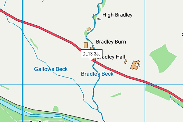 DL13 3JJ map - OS VectorMap District (Ordnance Survey) DL13 3JJ map - OS VectorMap District (Ordnance Survey)