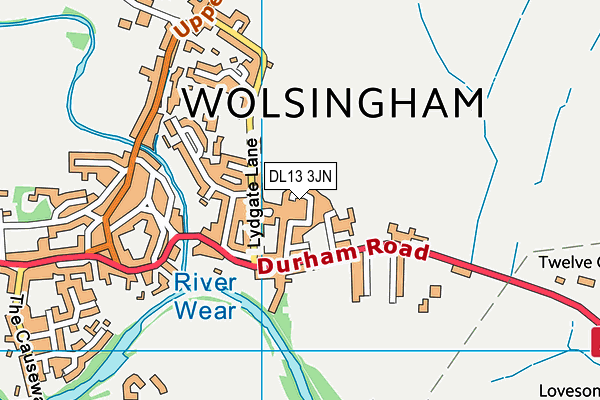 DL13 3JN map - OS VectorMap District (Ordnance Survey) DL13 3JN map - OS VectorMap District (Ordnance Survey)