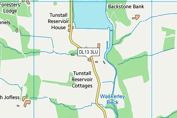 DL13 3LU map - OS VectorMap District (Ordnance Survey) DL13 3LU map - OS VectorMap District (Ordnance Survey)