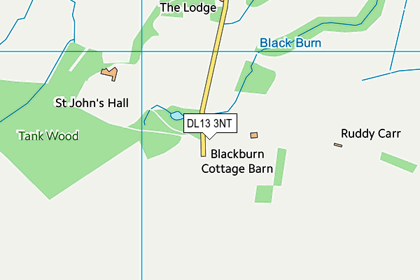 DL13 3NT map - OS VectorMap District (Ordnance Survey) DL13 3NT map - OS VectorMap District (Ordnance Survey)