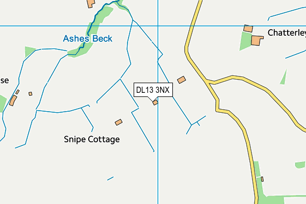 DL13 3NX map - OS VectorMap District (Ordnance Survey) DL13 3NX map - OS VectorMap District (Ordnance Survey)