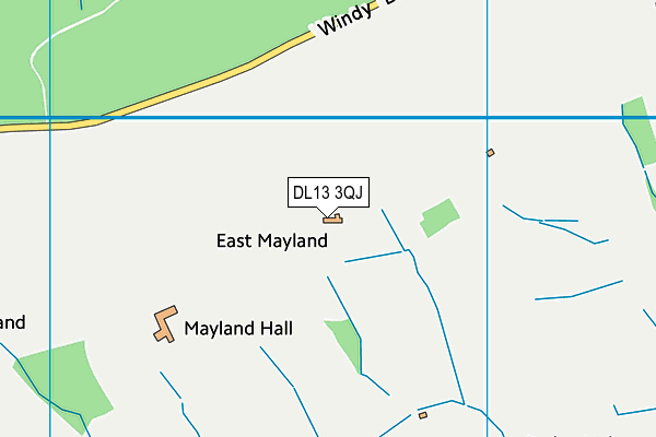 DL13 3QJ map - OS VectorMap District (Ordnance Survey) DL13 3QJ map - OS VectorMap District (Ordnance Survey)