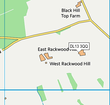 DL13 3QQ map - OS VectorMap District (Ordnance Survey) DL13 3QQ map - OS VectorMap District (Ordnance Survey)