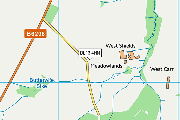 DL13 4HN map - OS VectorMap District (Ordnance Survey) DL13 4HN map - OS VectorMap District (Ordnance Survey)