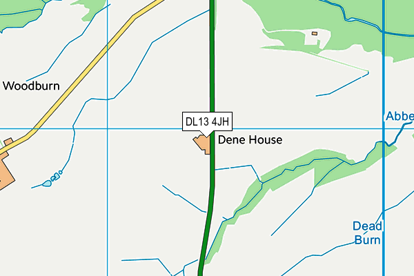 DL13 4JH map - OS VectorMap District (Ordnance Survey) DL13 4JH map - OS VectorMap District (Ordnance Survey)