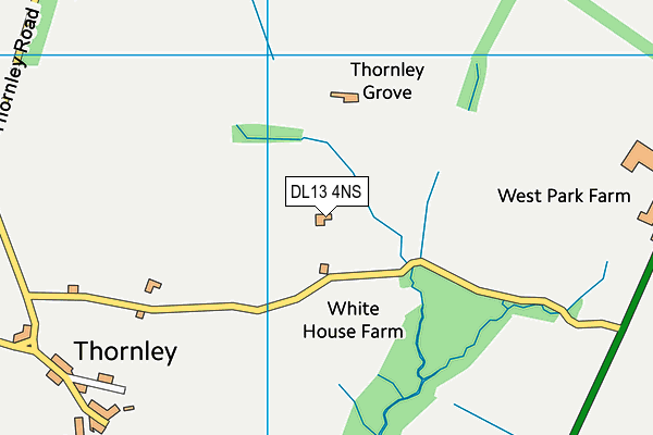 DL13 4NS map - OS VectorMap District (Ordnance Survey) DL13 4NS map - OS VectorMap District (Ordnance Survey)