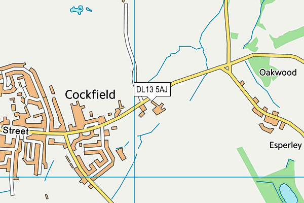 DL13 5AJ map - OS VectorMap District (Ordnance Survey) DL13 5AJ map - OS VectorMap District (Ordnance Survey)