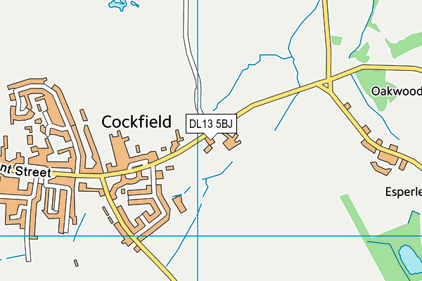DL13 5BJ map - OS VectorMap District (Ordnance Survey) DL13 5BJ map - OS VectorMap District (Ordnance Survey)