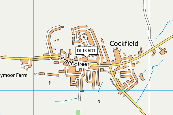 DL13 5DT map - OS VectorMap District (Ordnance Survey) DL13 5DT map - OS VectorMap District (Ordnance Survey)