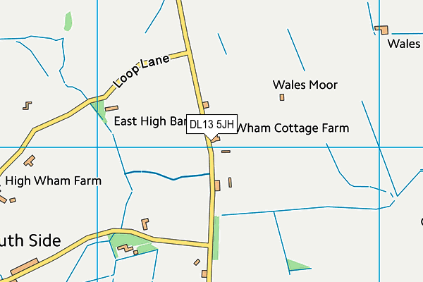 DL13 5JH map - OS VectorMap District (Ordnance Survey) DL13 5JH map - OS VectorMap District (Ordnance Survey)