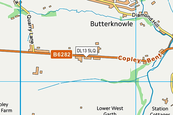 DL13 5LQ map - OS VectorMap District (Ordnance Survey) DL13 5LQ map - OS VectorMap District (Ordnance Survey)