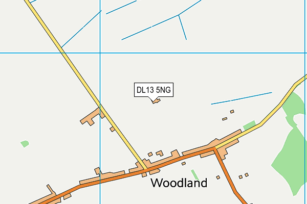 DL13 5NG map - OS VectorMap District (Ordnance Survey) DL13 5NG map - OS VectorMap District (Ordnance Survey)