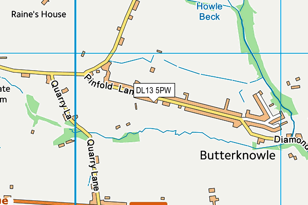 DL13 5PW map - OS VectorMap District (Ordnance Survey) DL13 5PW map - OS VectorMap District (Ordnance Survey)