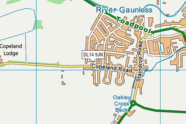 DL14 9JN map - OS VectorMap District (Ordnance Survey) DL14 9JN map - OS VectorMap District (Ordnance Survey)