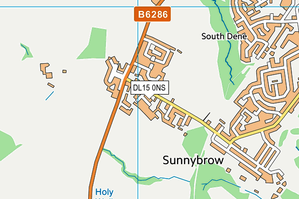 DL15 0NS map - OS VectorMap District (Ordnance Survey)