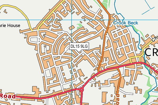 DL15 9LG map - OS VectorMap District (Ordnance Survey) DL15 9LG map - OS VectorMap District (Ordnance Survey)