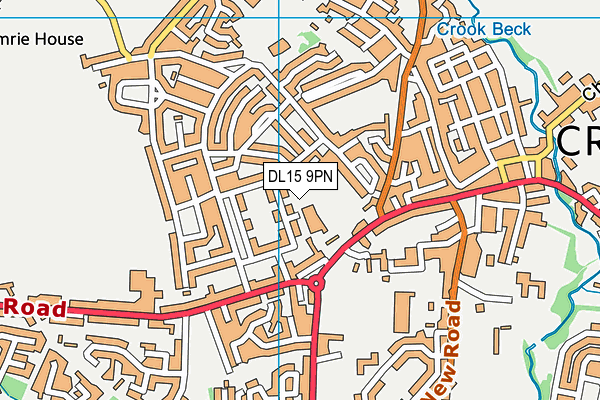 DL15 9PN map - OS VectorMap District (Ordnance Survey) DL15 9PN map - OS VectorMap District (Ordnance Survey)