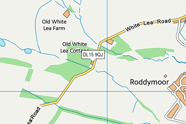 DL15 9QJ map - OS VectorMap District (Ordnance Survey) DL15 9QJ map - OS VectorMap District (Ordnance Survey)