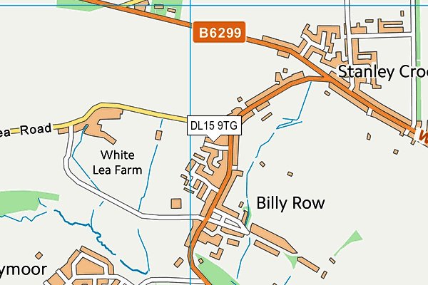 DL15 9TG map - OS VectorMap District (Ordnance Survey)