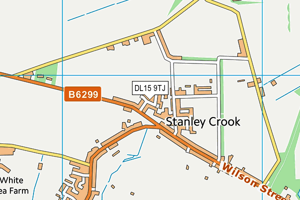 DL15 9TJ map - OS VectorMap District (Ordnance Survey) DL15 9TJ map - OS VectorMap District (Ordnance Survey)