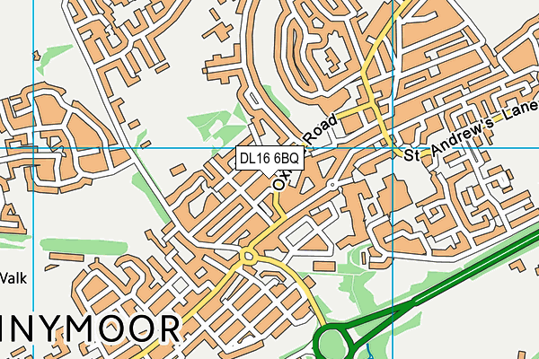 DL16 6BQ map - OS VectorMap District (Ordnance Survey) DL16 6BQ map - OS VectorMap District (Ordnance Survey)