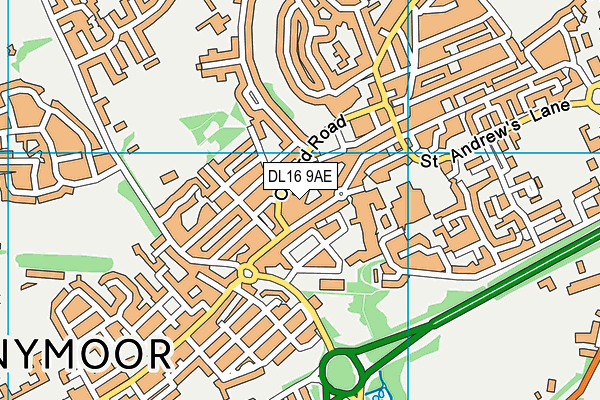 DL16 9AE map - OS VectorMap District (Ordnance Survey) DL16 9AE map - OS VectorMap District (Ordnance Survey)