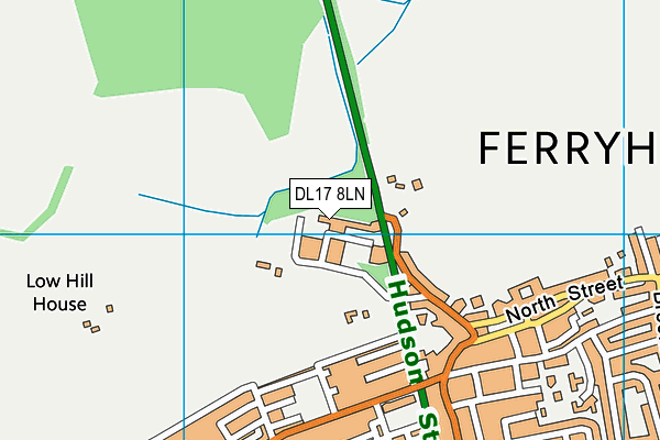 DL17 8LN map - OS VectorMap District (Ordnance Survey) DL17 8LN map - OS VectorMap District (Ordnance Survey)