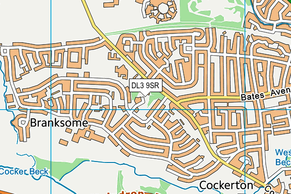 DL3 9SR map - OS VectorMap District (Ordnance Survey) DL3 9SR map - OS VectorMap District (Ordnance Survey)