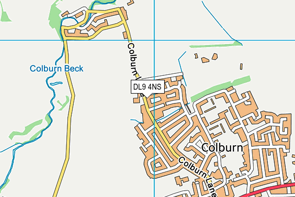 DL9 4NS map - OS VectorMap District (Ordnance Survey) DL9 4NS map - OS VectorMap District (Ordnance Survey)