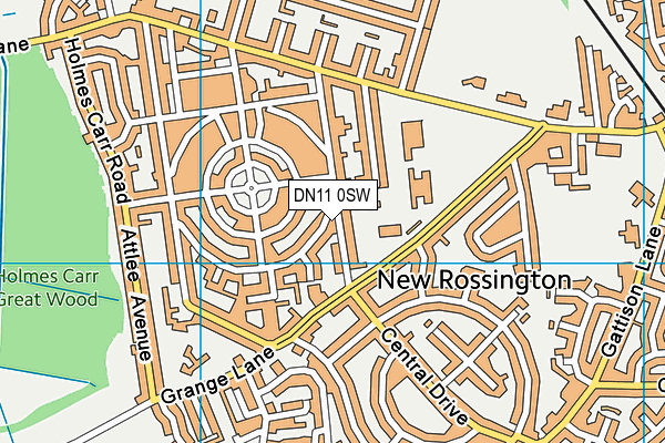 DN11 0SW map - OS VectorMap District (Ordnance Survey) DN11 0SW map - OS VectorMap District (Ordnance Survey)