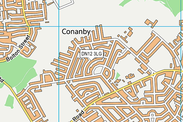 DN12 3LG map - OS VectorMap District (Ordnance Survey) DN12 3LG map - OS VectorMap District (Ordnance Survey)