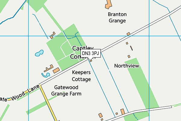 DN3 3PJ map - OS VectorMap District (Ordnance Survey) DN3 3PJ map - OS VectorMap District (Ordnance Survey)