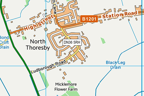 DN36 5RH map - OS VectorMap District (Ordnance Survey) DN36 5RH map - OS VectorMap District (Ordnance Survey)