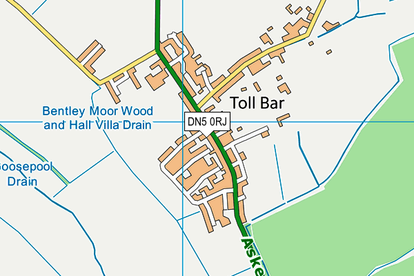 DN5 0RJ map - OS VectorMap District (Ordnance Survey) DN5 0RJ map - OS VectorMap District (Ordnance Survey)