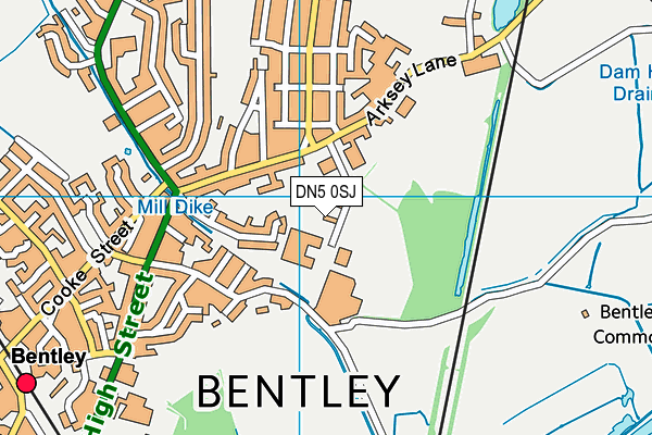 DN5 0SJ map - OS VectorMap District (Ordnance Survey) DN5 0SJ map - OS VectorMap District (Ordnance Survey)