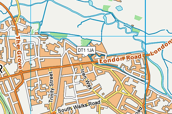 DT1 1JA map - OS VectorMap District (Ordnance Survey)