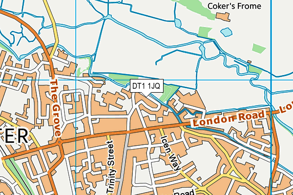DT1 1JQ map - OS VectorMap District (Ordnance Survey)