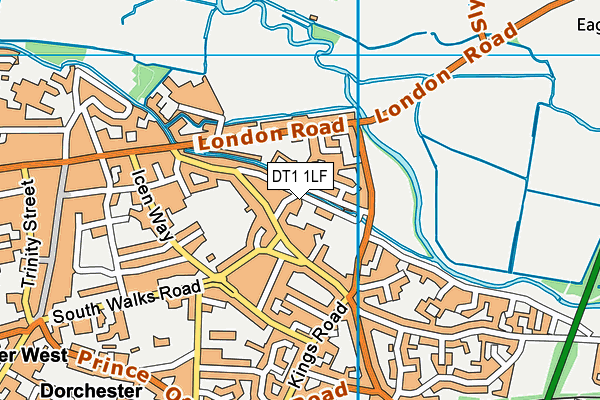 DT1 1LF map - OS VectorMap District (Ordnance Survey) DT1 1LF map - OS VectorMap District (Ordnance Survey)